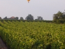 Eine Ballonfahrt über den Pfälzer (Wein-) Bergen ist sicher ein besonderes Erlebnis